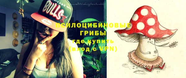 Альфа ПВП Верея
